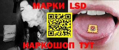 дмт Кингисепп