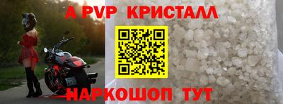 дмт Кингисепп