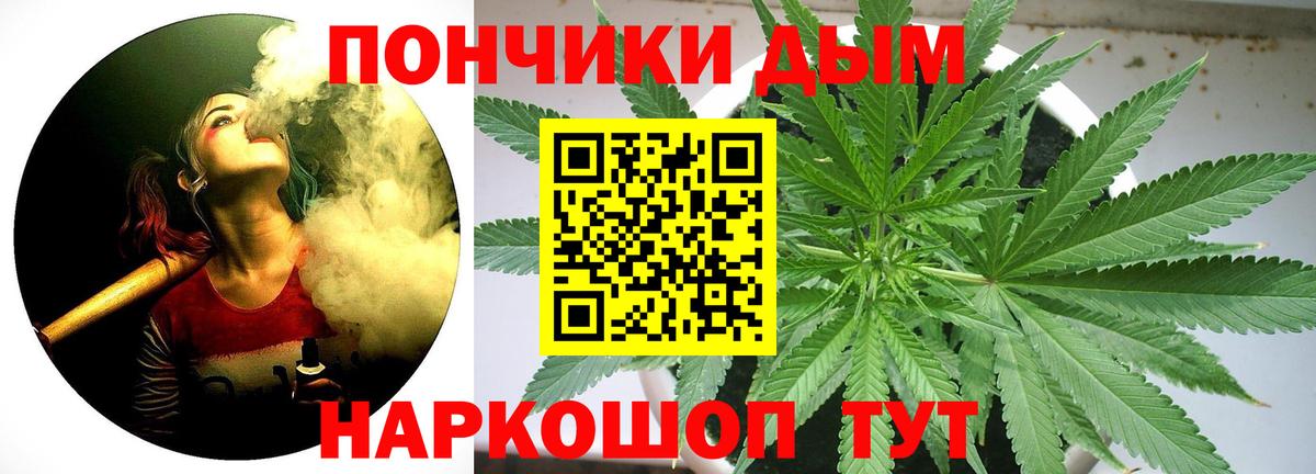 Бошки марихуана планчик  Конопля White Widow  Каннабис OG Kush  Канабис семена  Кохма  Вход с VPN 